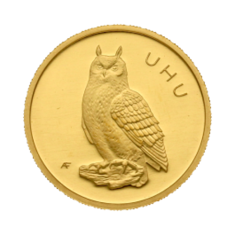 20 Euro Owl